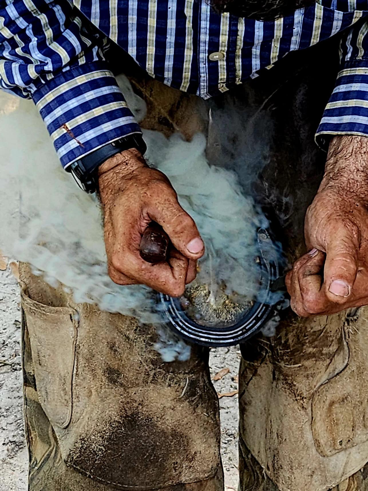 Brandon Smith - Farrier