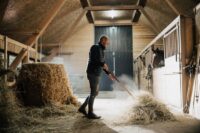 Controlling Dust & Odors in Horse Barns: Simple Steps to Safeguard Equine Lung Health