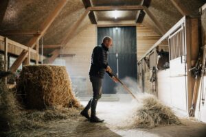 Controlling Dust & Odors in Horse Barns: Simple Steps to Safeguard Equine Lung Health