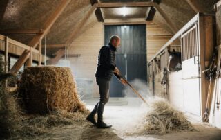 controlling-dust-and-noxious-odors-in-horse-barns