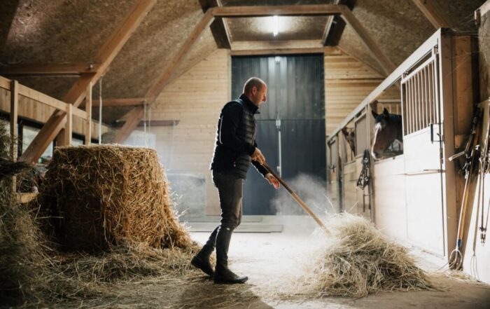 Controlling Dust & Odors in Horse Barns: Simple Steps to Safeguard Equine Lung Health