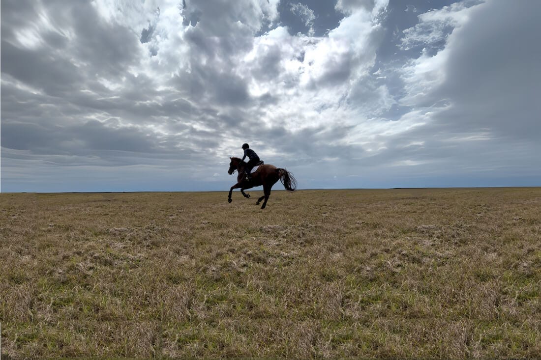 Hill Work for Horses: Guide to Benefits, Exercises, & Program Design