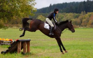 how-to-walk-a-cross-country-course