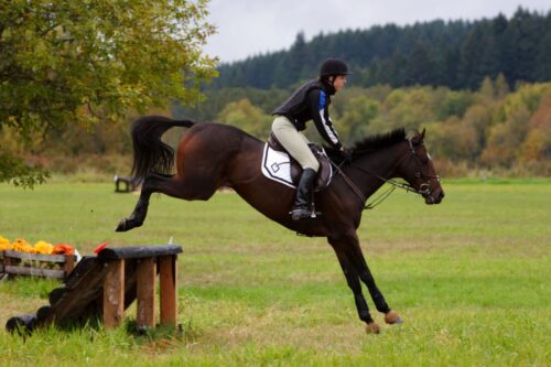 how-to-walk-a-cross-country-course