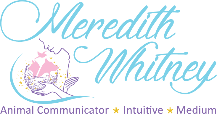 Meredith Whitney - Reiki