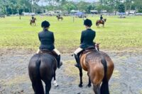 Managing Your Horse at a Show: Addressing Stress, Biosecurity & Stall Enrichment