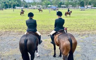 managing-horses-at-shows