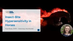 Insect-Bite Hypersensitivity in Horses – Mad Barn Vet Talk