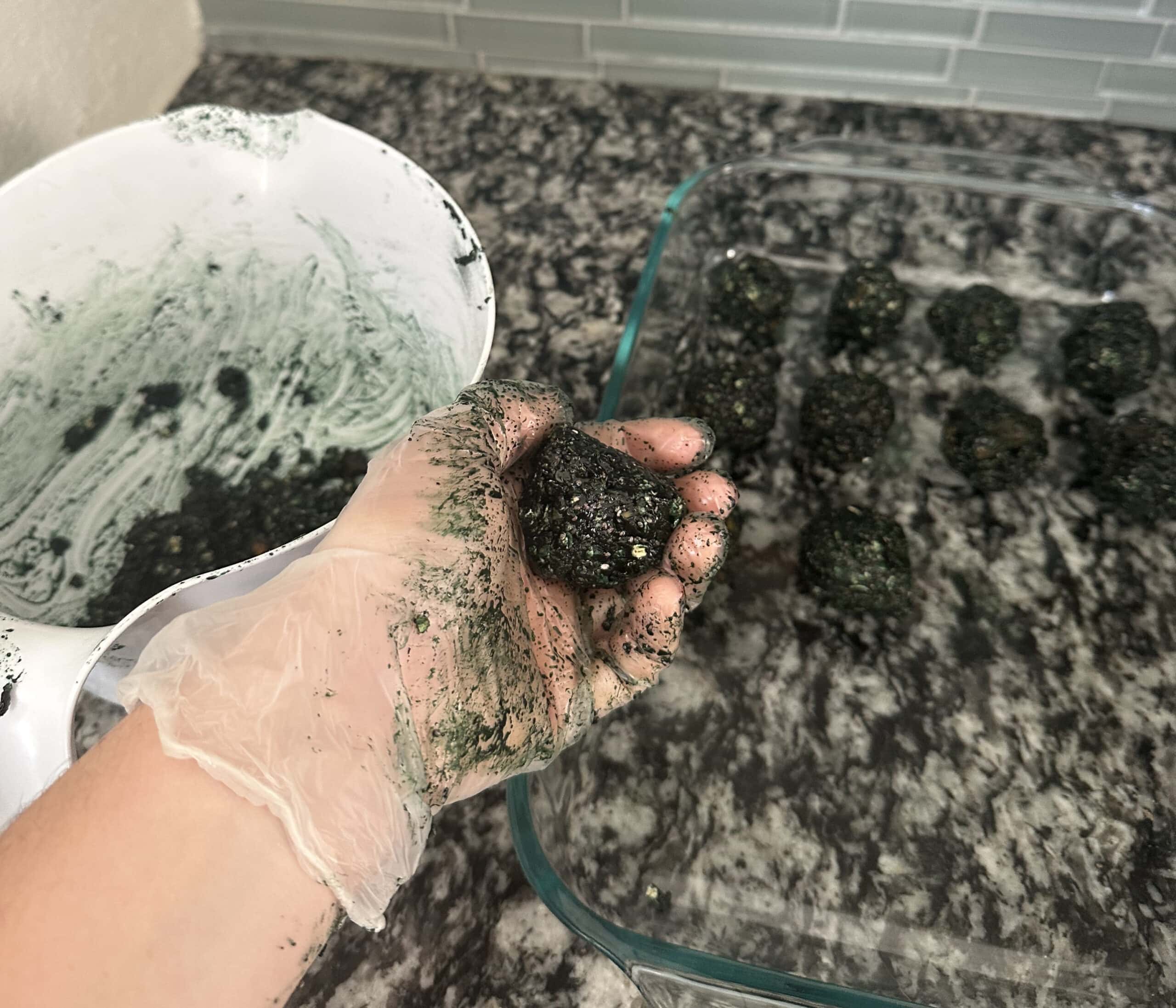 Shaping horse treat dough into small bite-sized balls by hand