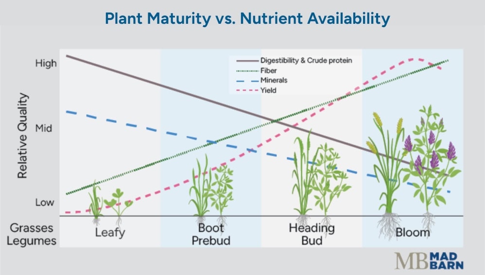 graph displaying relative abundance of nutrients versus plant age and life cycle