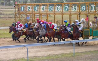polytrack-surfaces-in-horse-racing