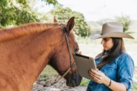 Record-Keeping for Horse Farms: Systems to Keep Your Operation Running Smoothly