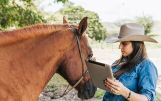 record-keeping-for-horse-farms