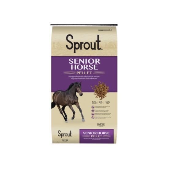 Senior Horse (Sprout)