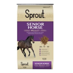 Senior Horse (Sprout)
