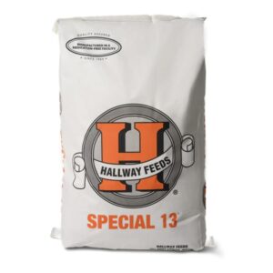 Special 13 (Hallway Feeds)