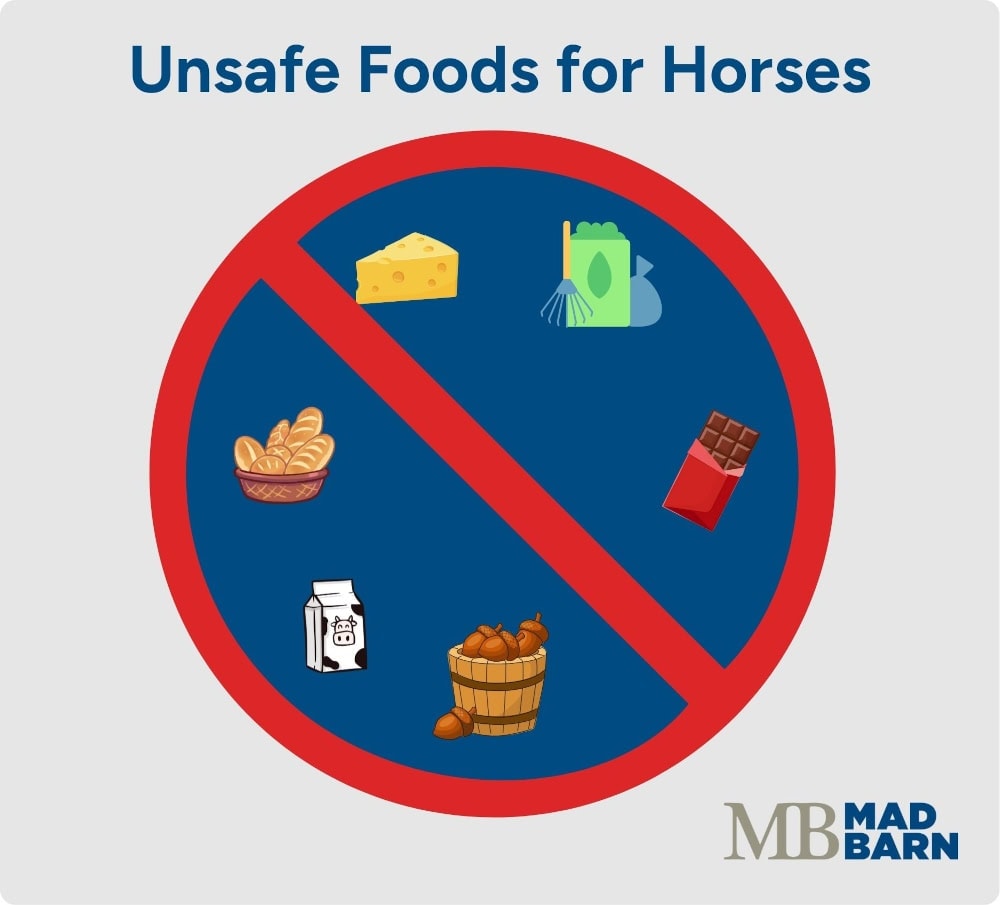 Examples of unsafe foods for horses including chocolate, bread products, acorns, and garden clippings