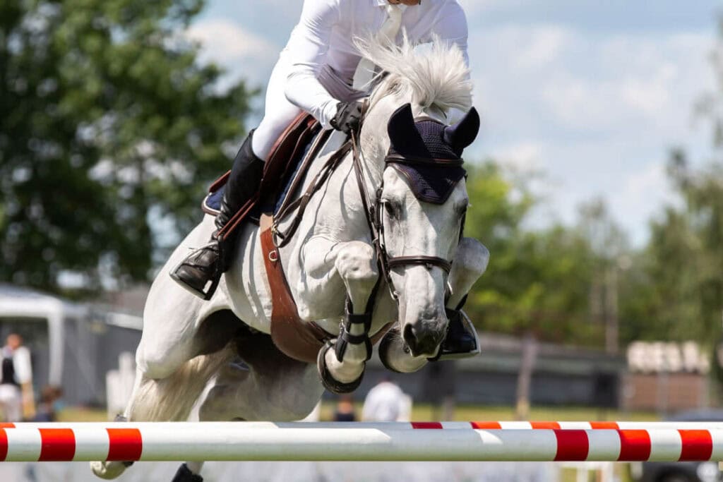 Top 7 Strategies to Optimize Horse Welfare in Show Jumping: Maximizing Performance for a Long Career