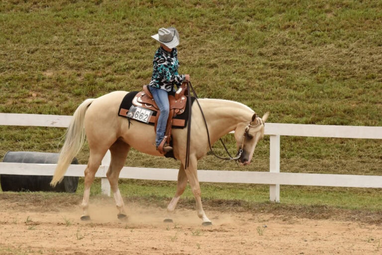 western-pleasure-discipline-guide