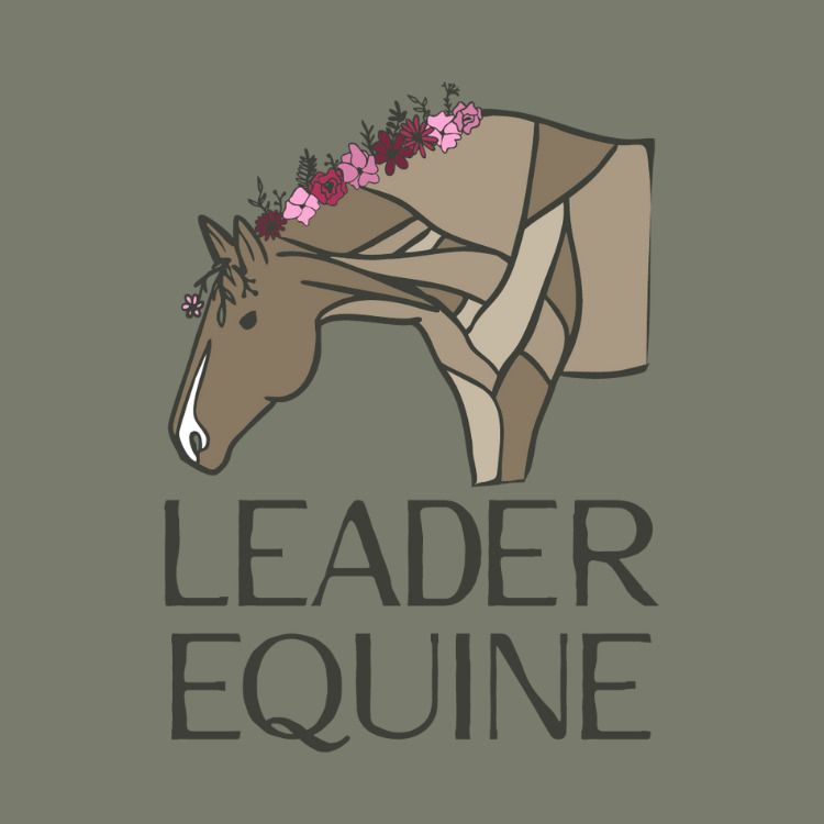 Kamree Leader - Equine Massage Therapist