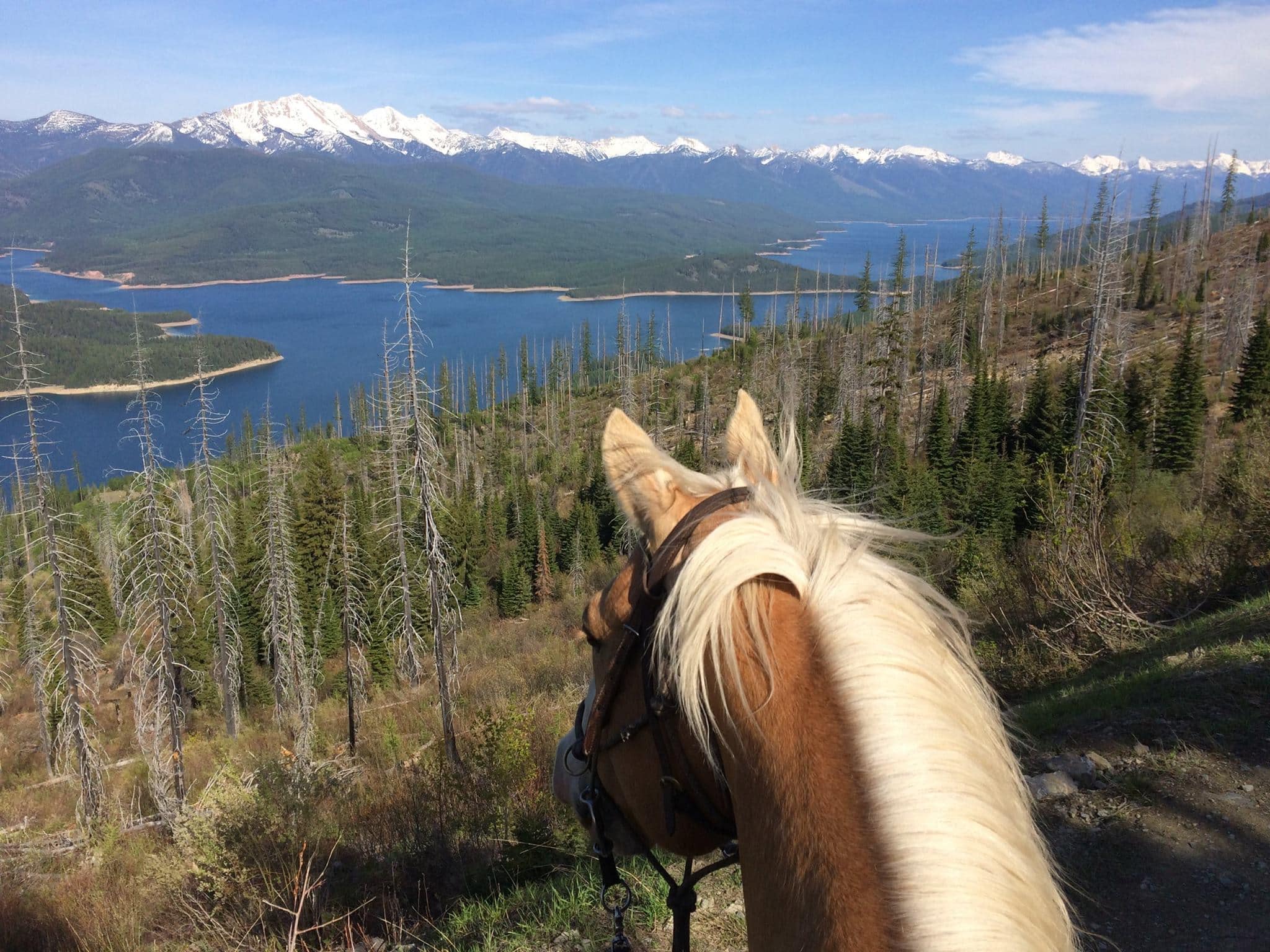 Leah Mitchell - Boarding Stable