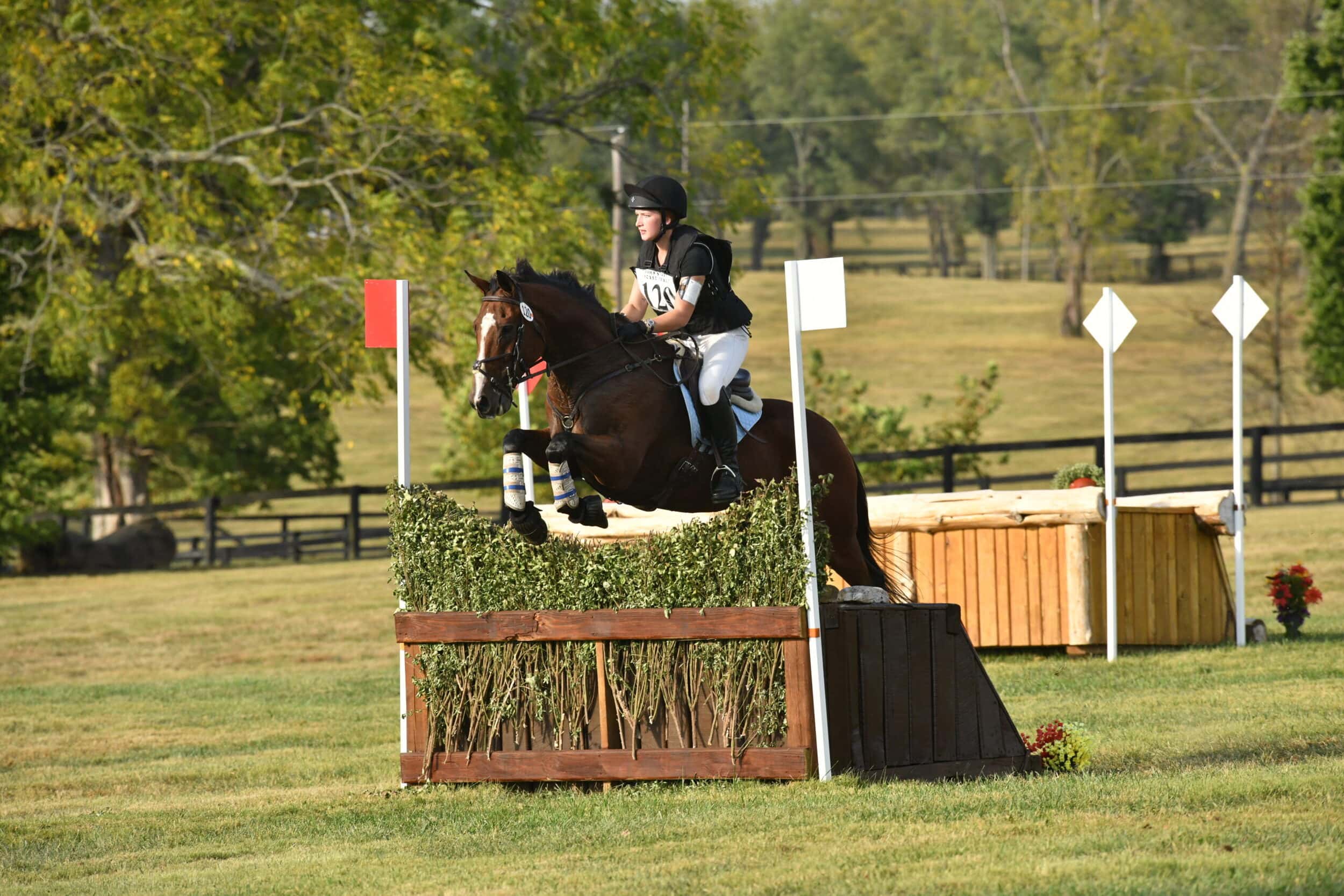 Laura Stepic - Boarding Stable