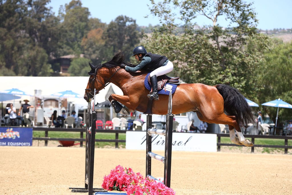 Alyce Bittar - Breeder