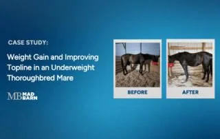 case study weight gain and topline improvement
