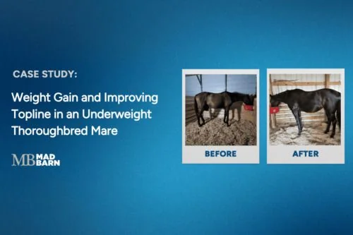 case study weight gain and topline improvement