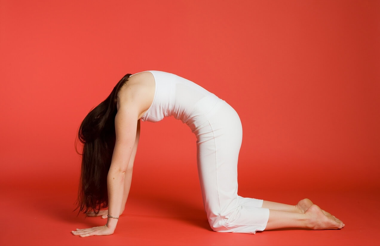 image of woman performing cat pose