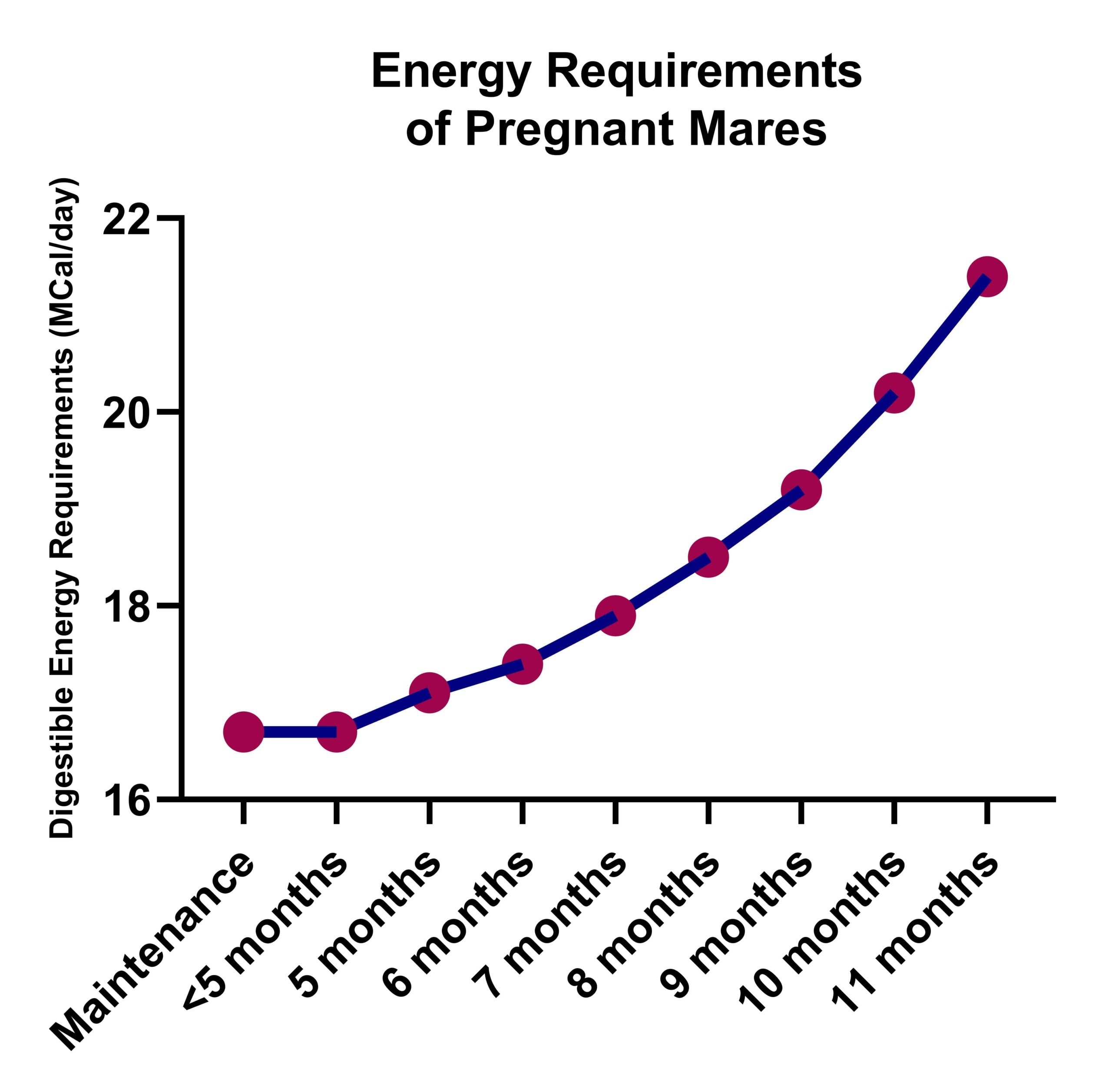 Energy Requirements of Pregnant Mares