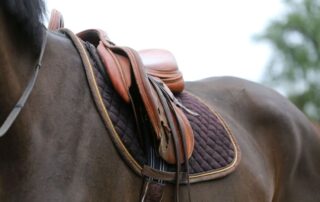 guide-to-english-saddle-pads