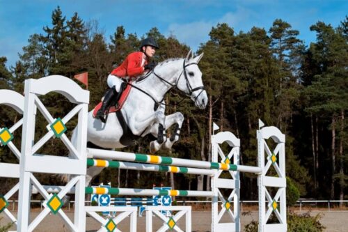 guide-to-equine-recovery