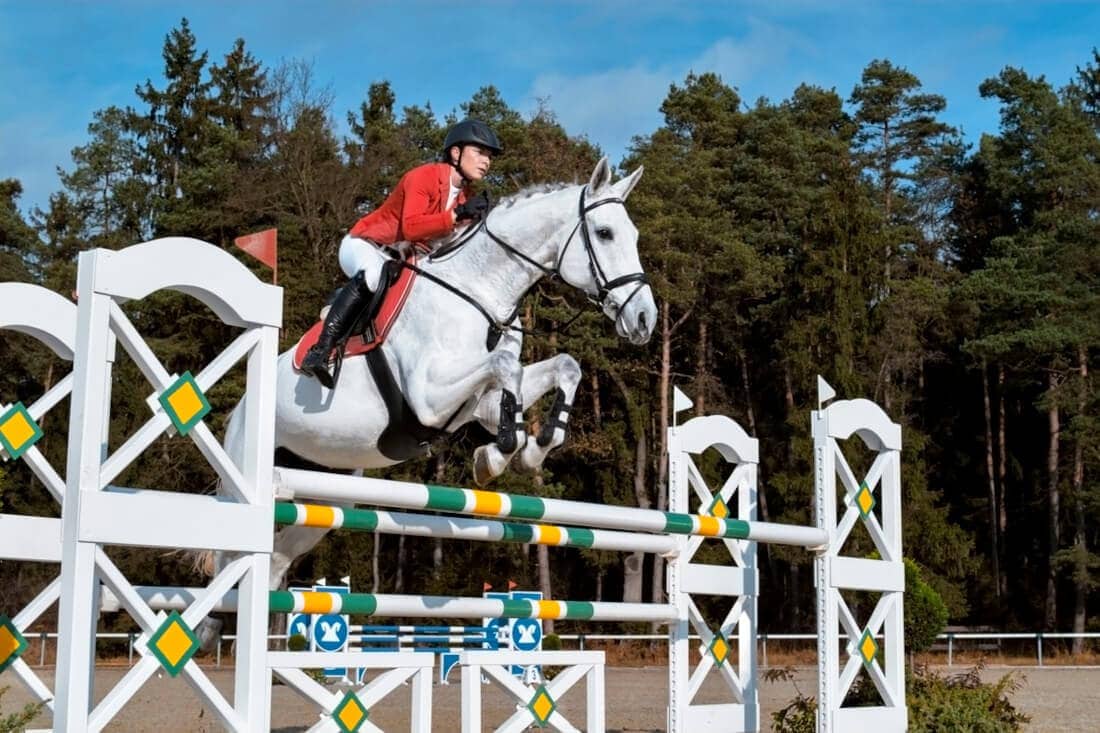 Workout Recovery in Horses: Post-Exercise Strategies to Optimize Performance