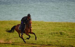 how-to-safely-ride-the-gallop