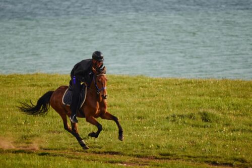how-to-safely-ride-the-gallop