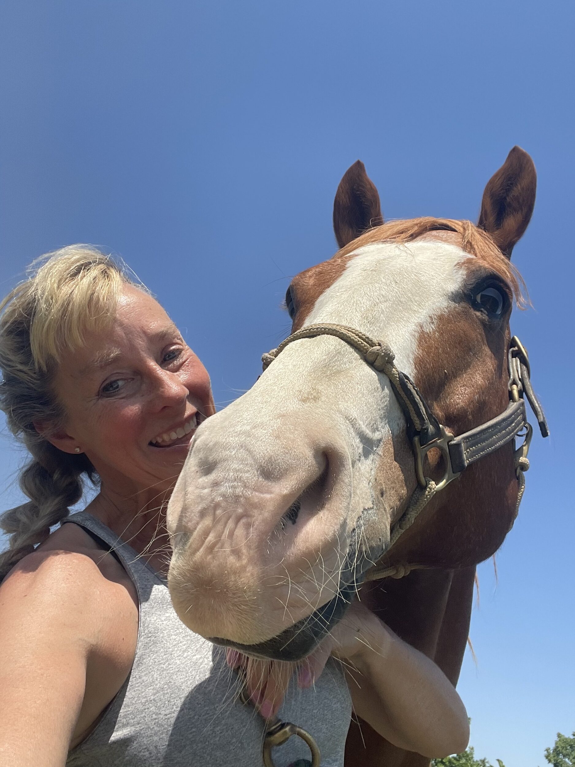 Bonnie Morrow - Equine Massage Therapist