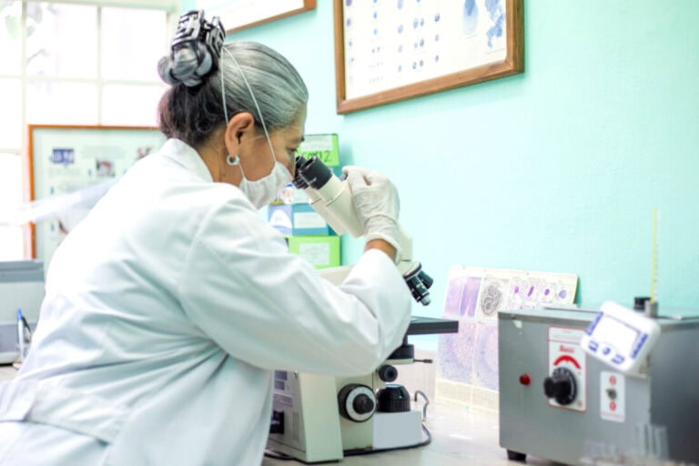 necropsy-in-equine-medicine