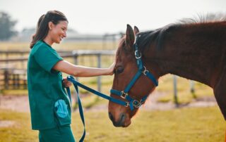 neurological-exams-for-horses