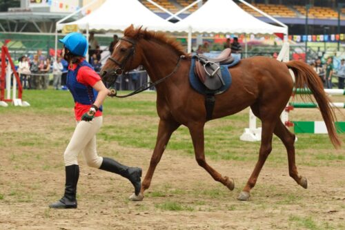 planning-your-horses-competition-schedule