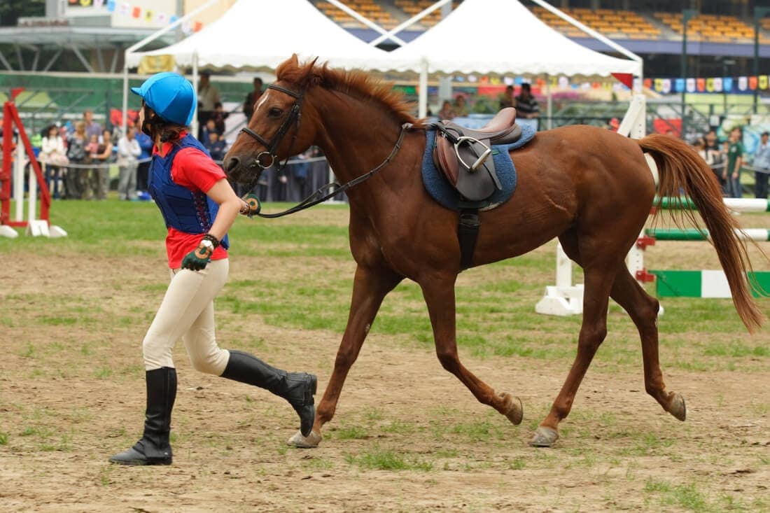 Planning Your Horse’s Competition Schedule: Tips for Show Season