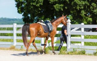 pre-ride-stretches-for-equestrians