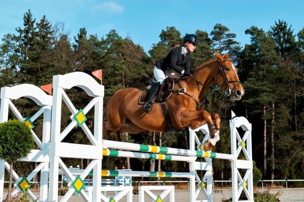 Training to Increase VO2 Max in Horses: A Science-Backed Performance Guide