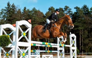 vo2max-and-equine-performance