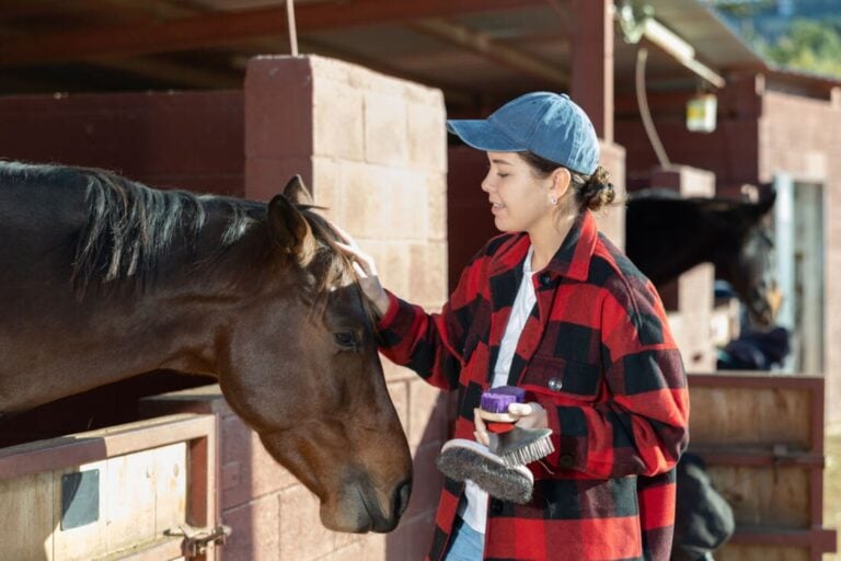 worker-safety-in-horse-barns---air-quality-and-lifting