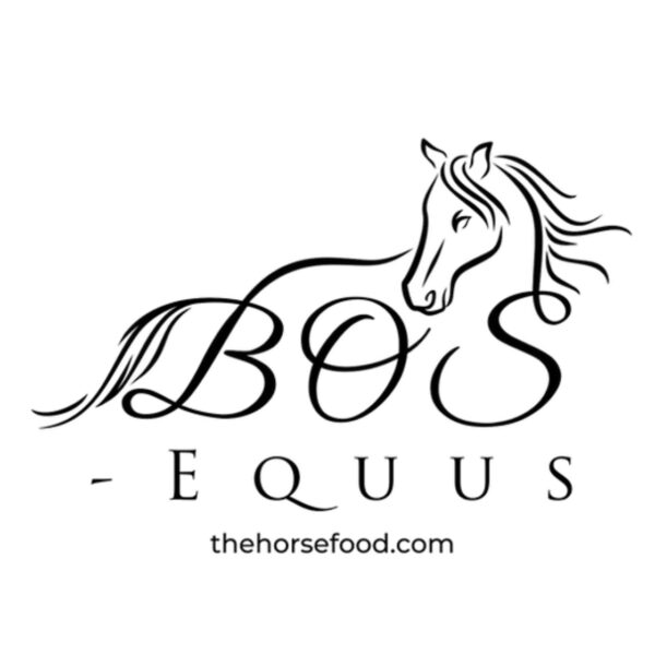 BOS Equus (The Horse Food)