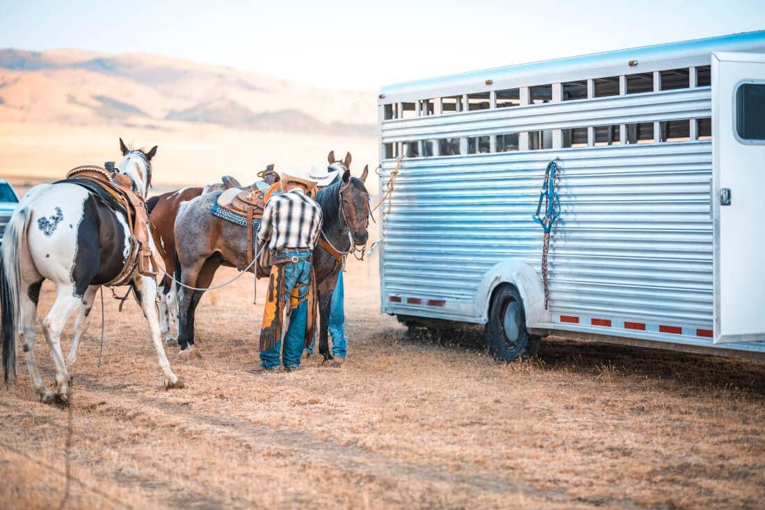 Buying a Horse Trailer: How to Choose the Best Trailer for Your Hauling Needs [Guide]