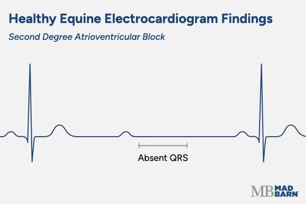 equine ecg graph showing second degree atrioventricular block