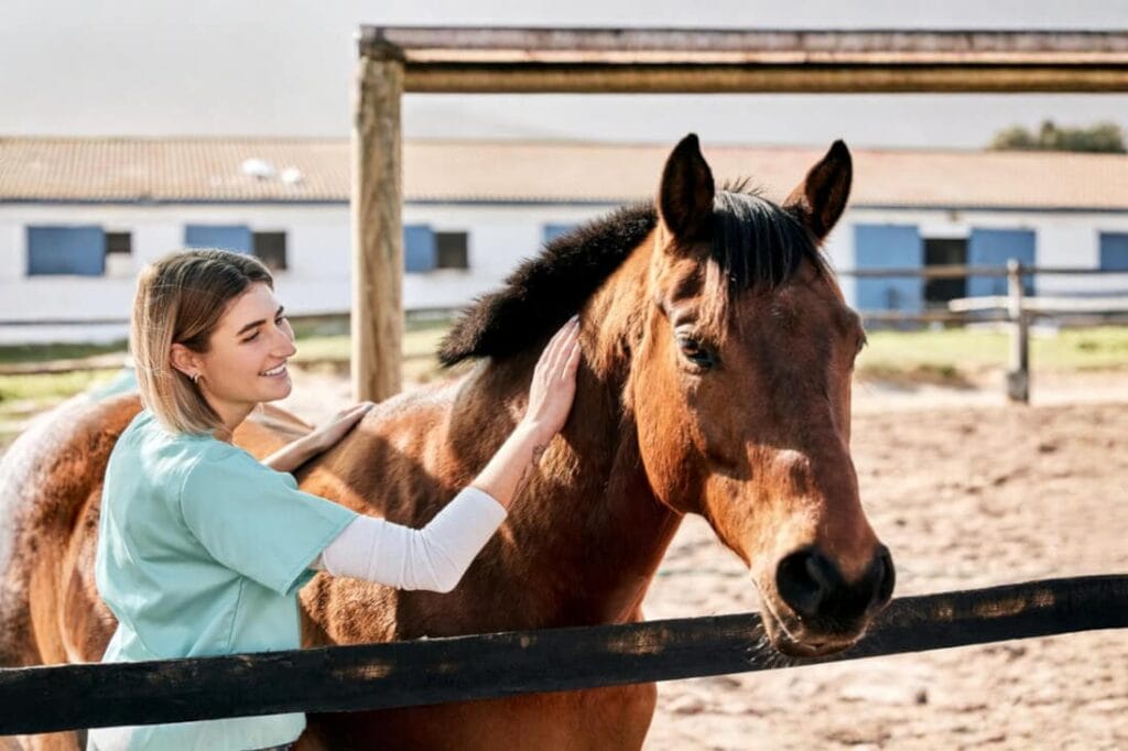 Electrocardiogram (ECG) for Horses: A Veterinarian’s Guide to Equine Heartbeat Irregularities