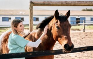 electrocardiogram-in-equine-medicine